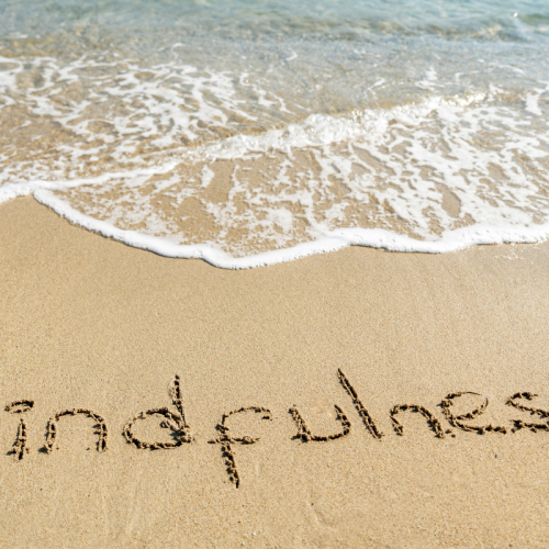 Mindfulness para Iniciantes: Um Guia Simples para Reduzir o Estresse e Aumentar o Foco